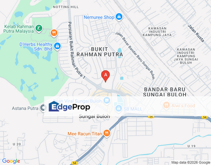 LAMAN ALSTONIA FOR AUCTION