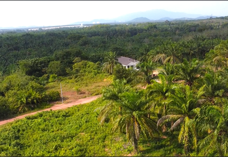 Vacant Bungalow Land