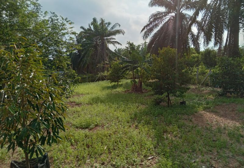 Vacant Bungalow Land