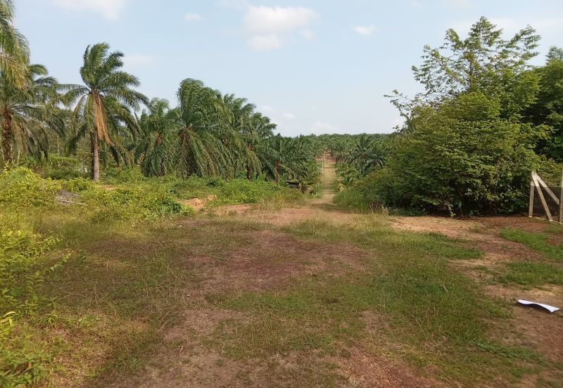 Vacant Bungalow Land