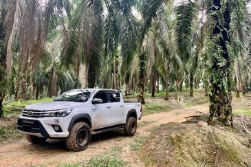 Agriculture Land@Seremban, Senawang, Rembau, Rantau For Sale