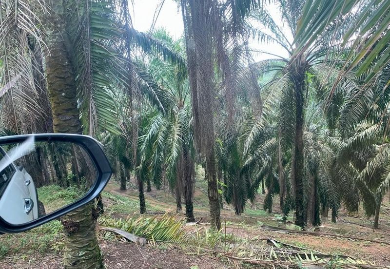 Agriculture Land@Seremban, Senawang, Rembau, Rantau For Sale