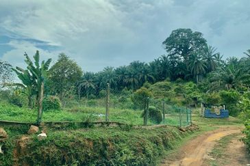 Agriculture Land@Seremban, Senawang, Rembau, Rantau For Sale