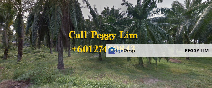 Agricultural Land @ Banting for Sale, Selangor, Banting