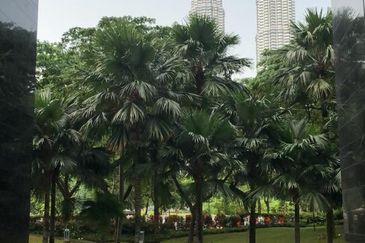 The Binjai on The Park