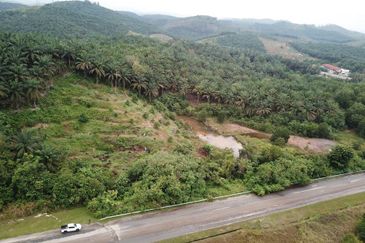 Maran, Pahang Agricultural Land for Sale