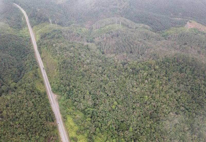 Maran, Pahang Agricultural Land for Sale