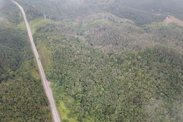 Maran, Pahang Agricultural Land for Sale