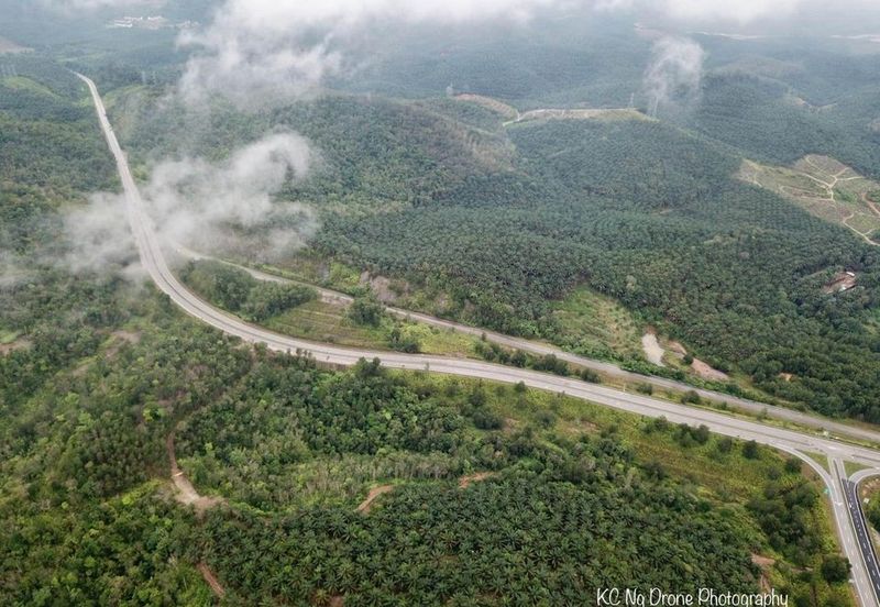 Maran, Pahang Agricultural Land for Sale