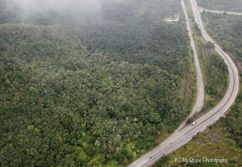 Maran, Pahang Agricultural Land for Sale