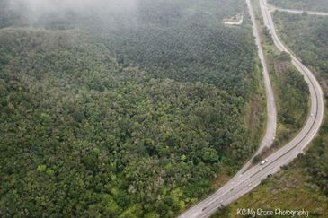 Maran, Pahang Agricultural Land for Sale