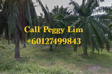 Industrial Land @ Banting for Sale