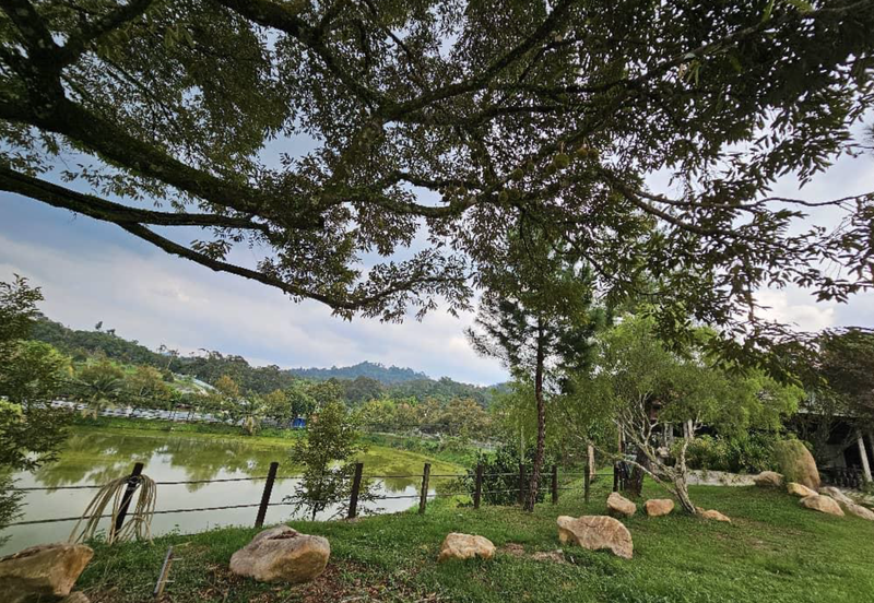 Resort Land @ Hulu Langat, Sungai Makau for Sale