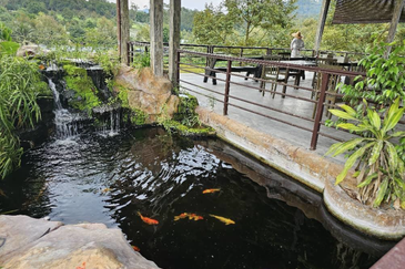 Resort Land @ Hulu Langat, Sungai Makau for Sale