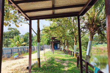 Resort Land @ Hulu Langat, Sungai Makau for Sale