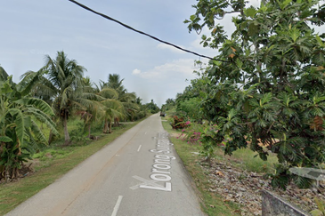 Kuala Selangor Sungai Yu Agriculture Land for Sale 4 Acres