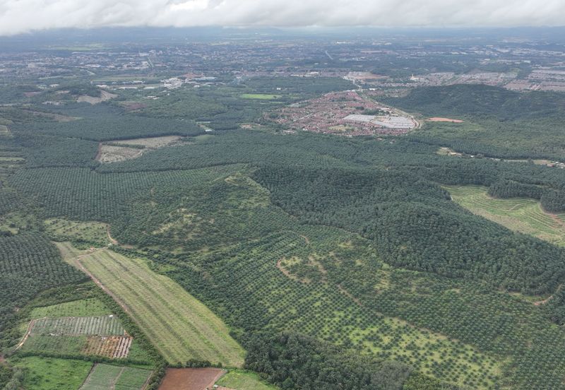 Sri Jaya, Maran, Pahang Oil Palm Land, Land For Sale