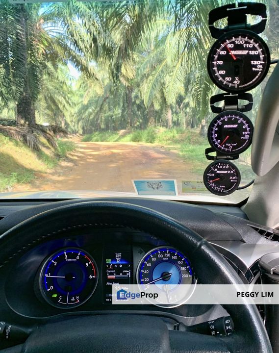 Muar, Bukit Bakri, Parit Sulong, Johor, Land For Sale, Johor, Muar