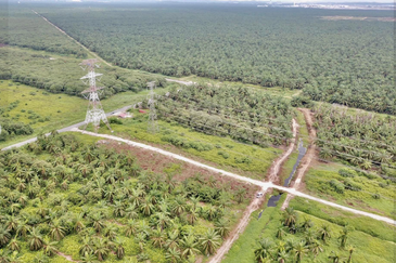 4000 acres Kimanis, Papar Sabah Land for Sale