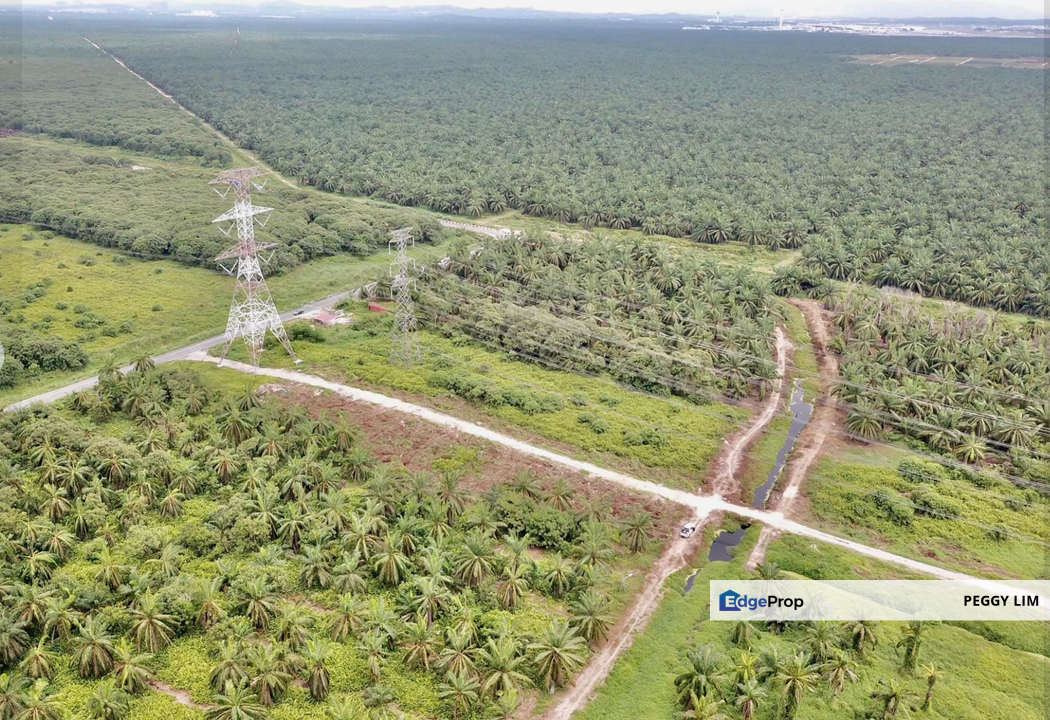 4000 acres Kimanis, Papar Sabah Land for Sale, Sabah, Papar