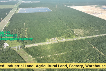 800 acres Oil Palm Plantation, Beaufort, Bongawan, Sabah