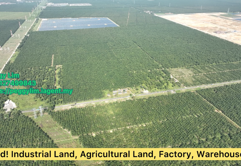 800 acres Oil Palm Plantation, Beaufort, Bongawan, Sabah