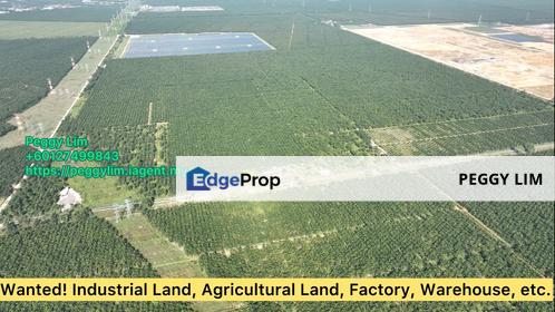 800 acres Oil Palm Plantation, Beaufort, Bongawan, Sabah, Sabah, Bongawan