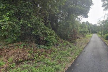 Rompin, Pahang Agricultural Empty Land For Sale