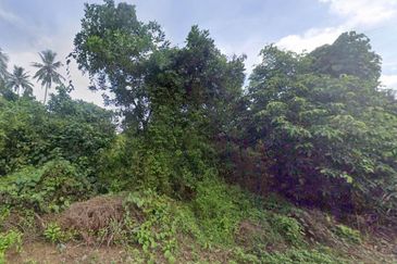 Rompin, Pahang Agricultural Empty Land For Sale