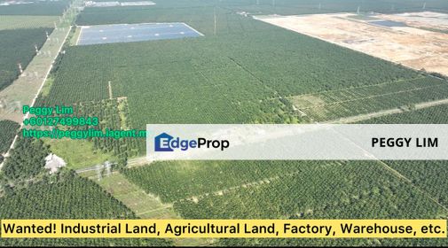 Gurun, Kedah Agricultural Land for Sale, Kedah, Kuala Muda