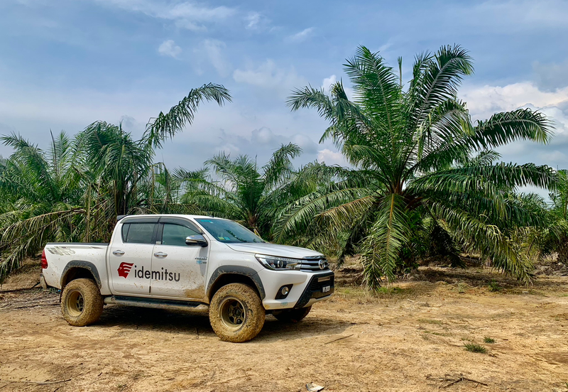 Baling, Kedah, Oil Palm Plantation For Sale