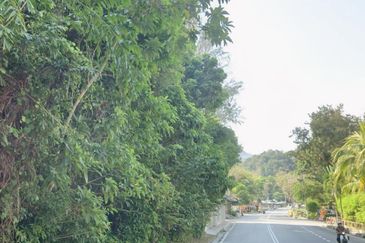 Jalan Batu Ferringhi