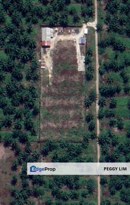 Banting Agricultural Land for Sale, Selangor, Banting