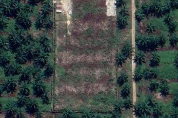 Banting Agricultural Land for Sale