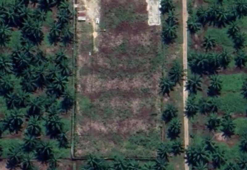 Banting Agricultural Land for Sale