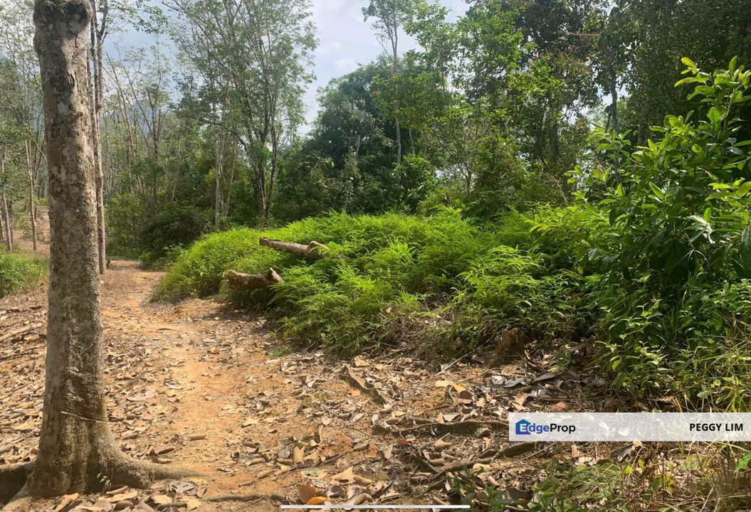 Rasa, Serendah, Batang Kali, Ulu Selangor 25 Acres Land For Sale, Selangor, Serendah