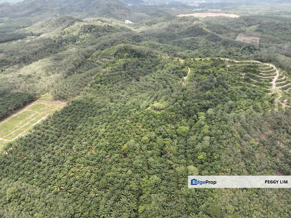 Gerik Agriculture land for Sale, Perak, Perak, Gerik