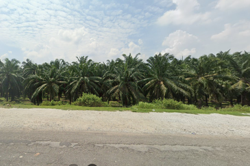 Agriculture Land, Zonning Industry Land @ Jeniang, Gurun Kedah For Sale 