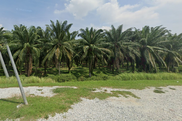 Agriculture Land, Zonning Industry Land @ Jeniang, Gurun Kedah For Sale 