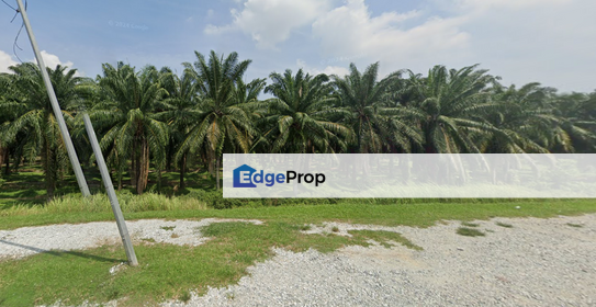 Agriculture Land, Zonning Industry Land @ Jeniang, Gurun Kedah For Sale , Kedah, Gurun