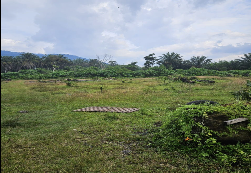 Tangkak, Johor 10 Acres Oil Palm Land For Sale 