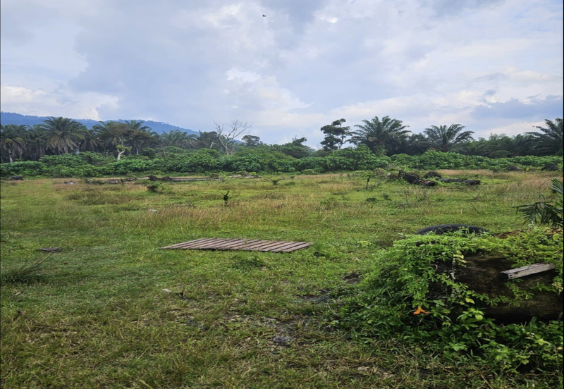 Tangkak, Johor 10 Acres Oil Palm Land For Sale 