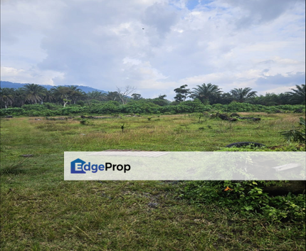 Tangkak, Johor 10 Acres Oil Palm Land For Sale , Johor, Tangkak