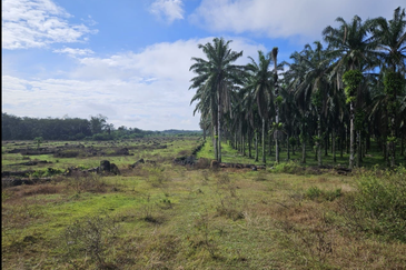 Tangkak, Johor 10 Acres Oil Palm Land For Sale 