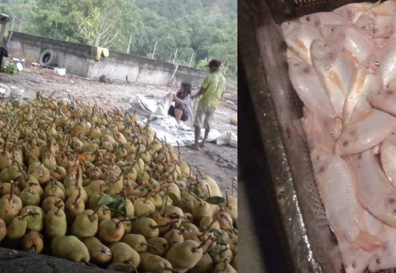 Nilai Forest Art Farmstay Agriculture Land For Sale