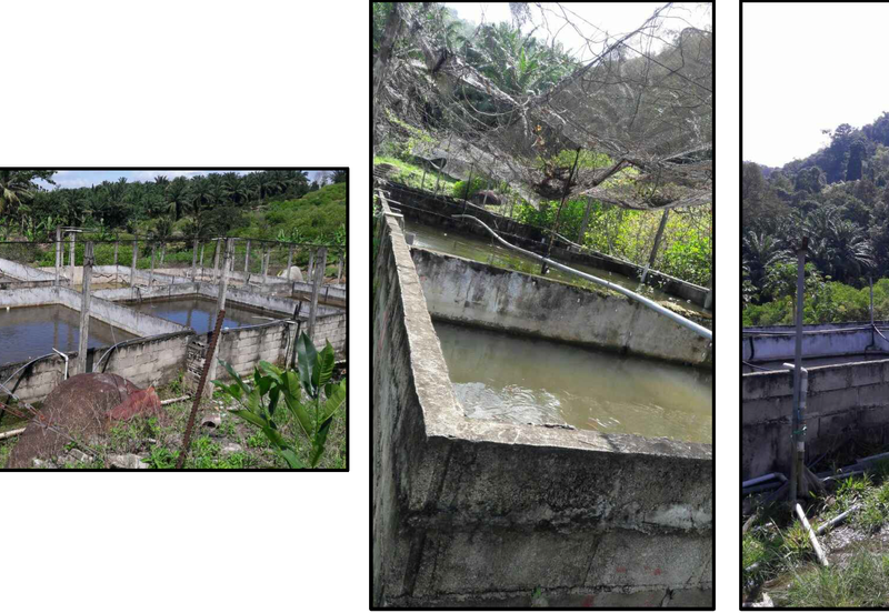 Nilai Forest Art Farmstay Agriculture Land For Sale