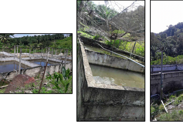 Nilai Forest Art Farmstay Agriculture Land For Sale