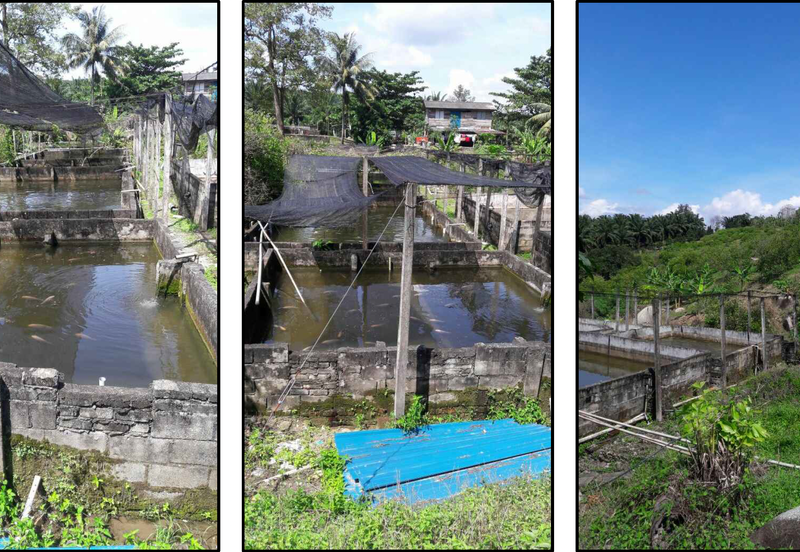 Nilai Forest Art Farmstay Agriculture Land For Sale