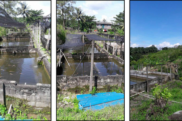 Nilai Forest Art Farmstay Agriculture Land For Sale