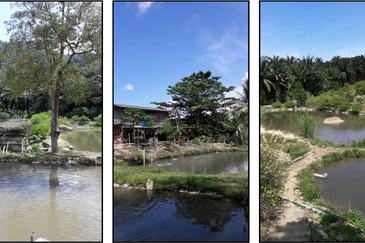 Nilai Forest Art Farmstay Agriculture Land For Sale